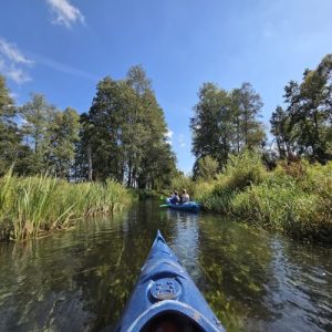 Spływ kajakowy Tama Brodzka – Brodnica 