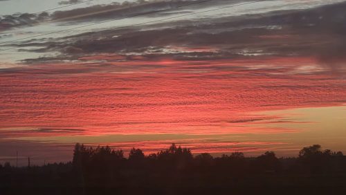 image012