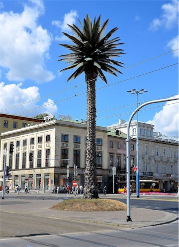 Sztuczna palma rondo gen. Charlesa de Gaullea w Warszawie