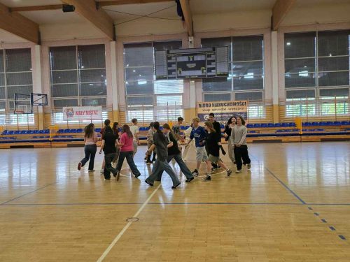 image003 (1) (1) (1)